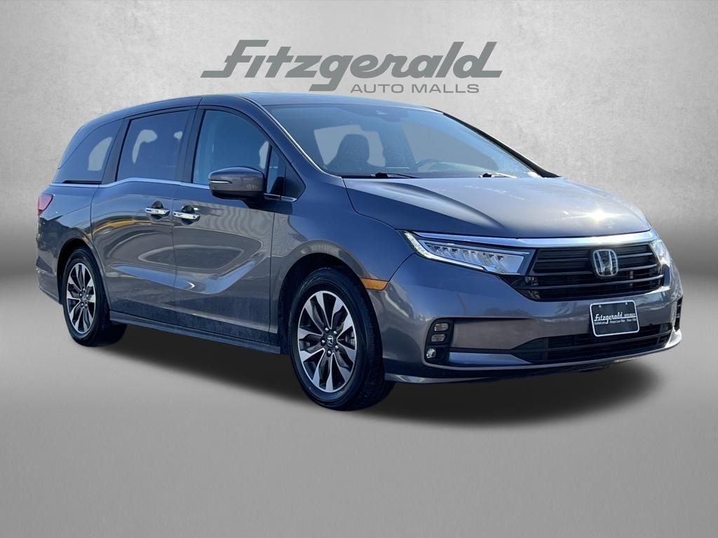 ODYSSEY ソフトボード 7’0ft 紫とグレーのストライプ 約210cm 2024 Honda Odyssey EX-L Gaithersburg MD | Fitzgerald Toyota