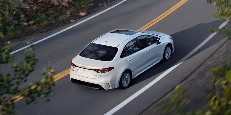 White Toyota Corolla driving on a winding road with trees